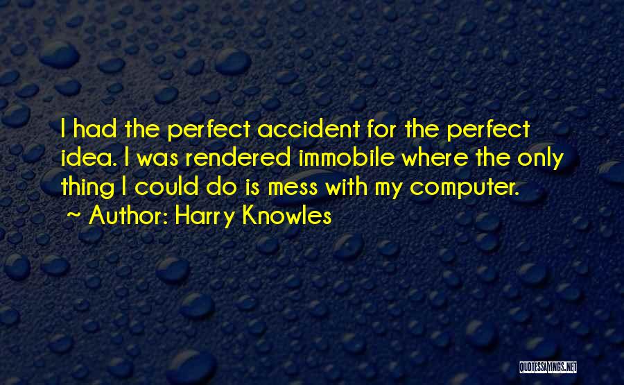 Harry Knowles Quotes: I Had The Perfect Accident For The Perfect Idea. I Was Rendered Immobile Where The Only Thing I Could Do