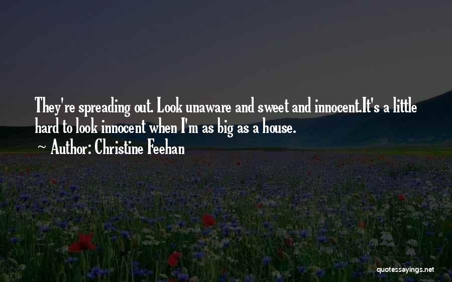 Christine Feehan Quotes: They're Spreading Out. Look Unaware And Sweet And Innocent.it's A Little Hard To Look Innocent When I'm As Big As