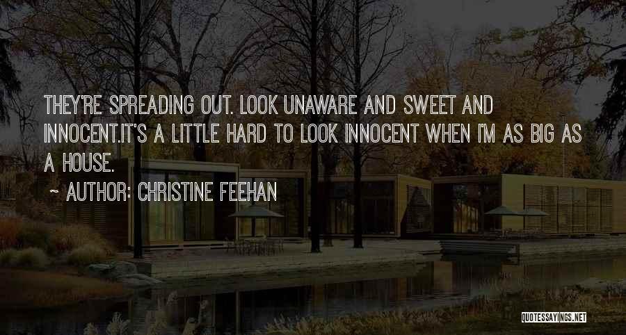 Christine Feehan Quotes: They're Spreading Out. Look Unaware And Sweet And Innocent.it's A Little Hard To Look Innocent When I'm As Big As
