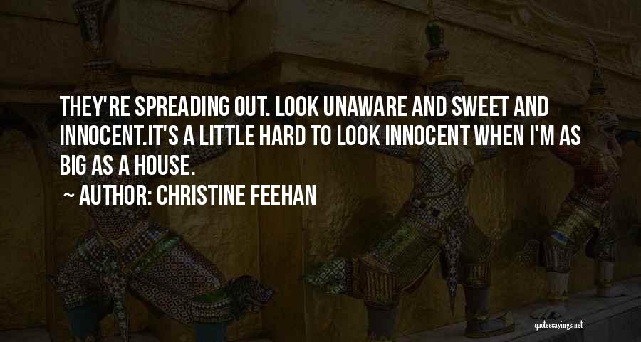 Christine Feehan Quotes: They're Spreading Out. Look Unaware And Sweet And Innocent.it's A Little Hard To Look Innocent When I'm As Big As