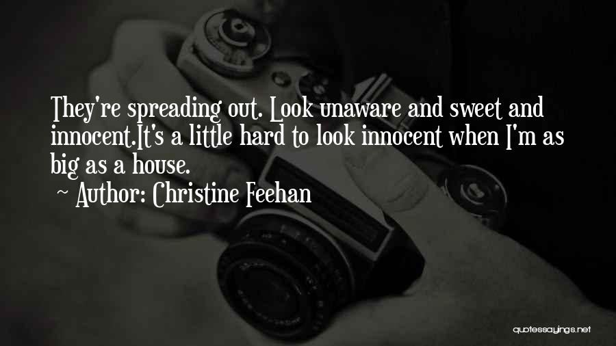 Christine Feehan Quotes: They're Spreading Out. Look Unaware And Sweet And Innocent.it's A Little Hard To Look Innocent When I'm As Big As