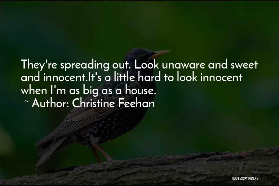 Christine Feehan Quotes: They're Spreading Out. Look Unaware And Sweet And Innocent.it's A Little Hard To Look Innocent When I'm As Big As