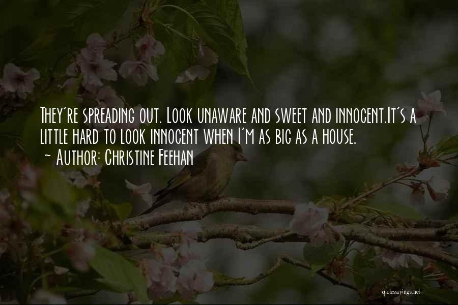 Christine Feehan Quotes: They're Spreading Out. Look Unaware And Sweet And Innocent.it's A Little Hard To Look Innocent When I'm As Big As