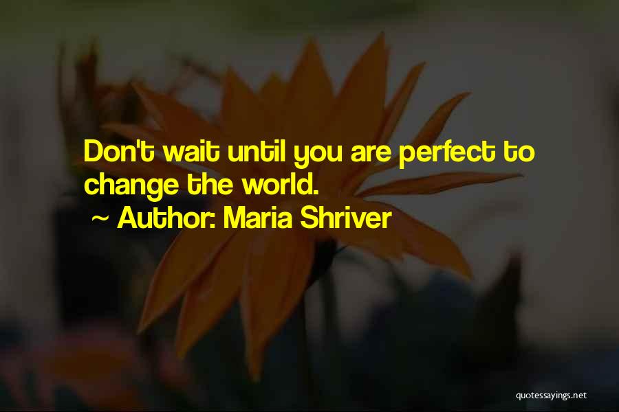 Maria Shriver Quotes: Don't Wait Until You Are Perfect To Change The World.