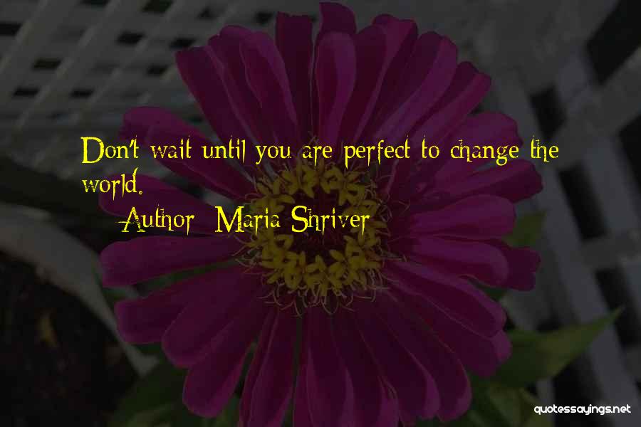 Maria Shriver Quotes: Don't Wait Until You Are Perfect To Change The World.