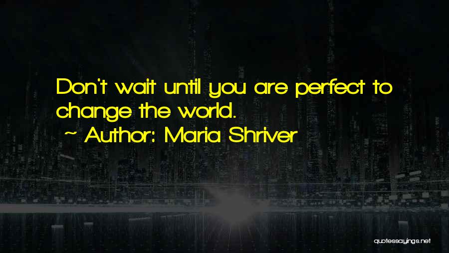 Maria Shriver Quotes: Don't Wait Until You Are Perfect To Change The World.