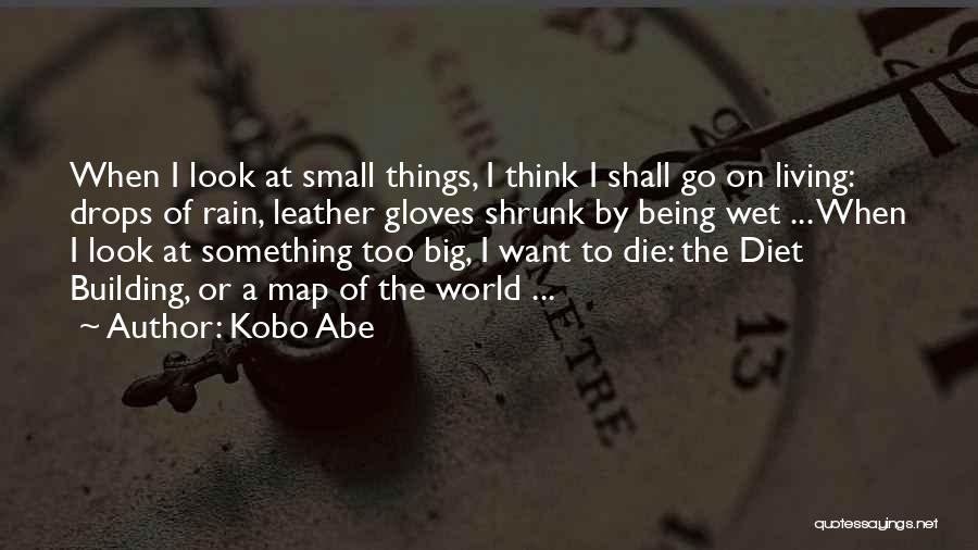 Kobo Abe Quotes: When I Look At Small Things, I Think I Shall Go On Living: Drops Of Rain, Leather Gloves Shrunk By