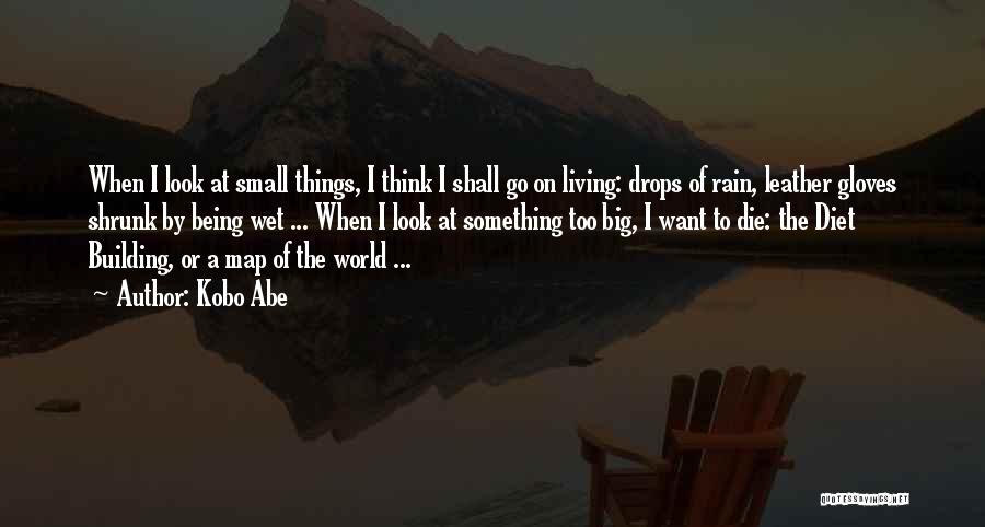 Kobo Abe Quotes: When I Look At Small Things, I Think I Shall Go On Living: Drops Of Rain, Leather Gloves Shrunk By