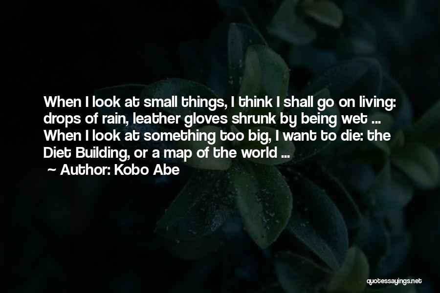 Kobo Abe Quotes: When I Look At Small Things, I Think I Shall Go On Living: Drops Of Rain, Leather Gloves Shrunk By