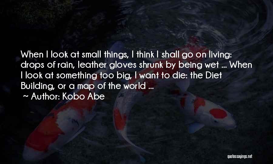 Kobo Abe Quotes: When I Look At Small Things, I Think I Shall Go On Living: Drops Of Rain, Leather Gloves Shrunk By