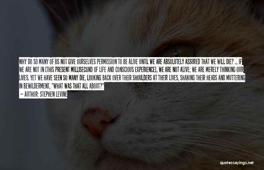 Stephen Levine Quotes: Why Do So Many Of Us Not Give Ourselves Permission To Be Alive Until We Are Absolutely Assured That We