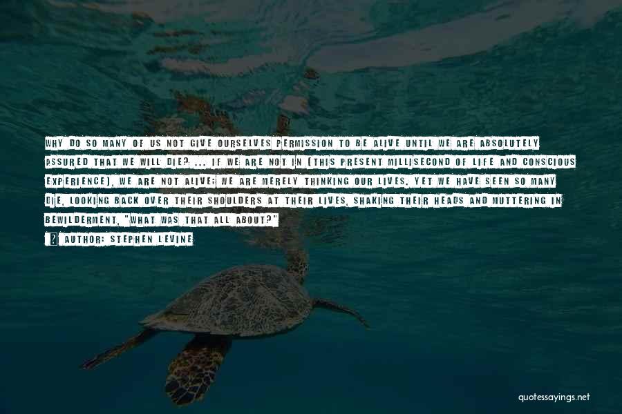 Stephen Levine Quotes: Why Do So Many Of Us Not Give Ourselves Permission To Be Alive Until We Are Absolutely Assured That We