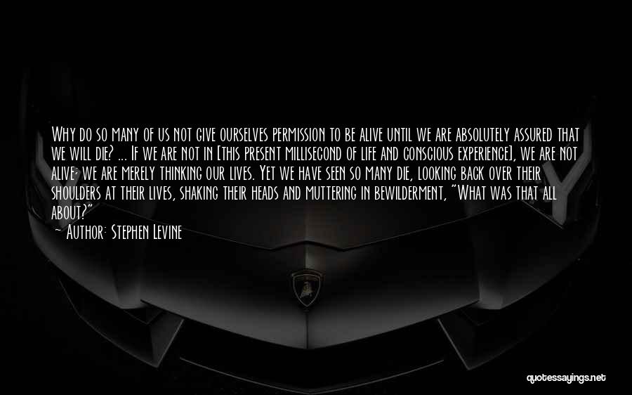 Stephen Levine Quotes: Why Do So Many Of Us Not Give Ourselves Permission To Be Alive Until We Are Absolutely Assured That We