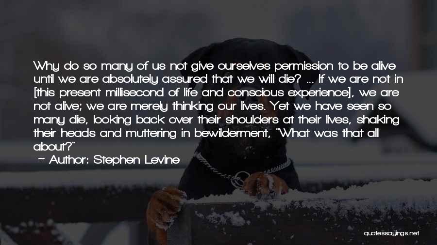 Stephen Levine Quotes: Why Do So Many Of Us Not Give Ourselves Permission To Be Alive Until We Are Absolutely Assured That We