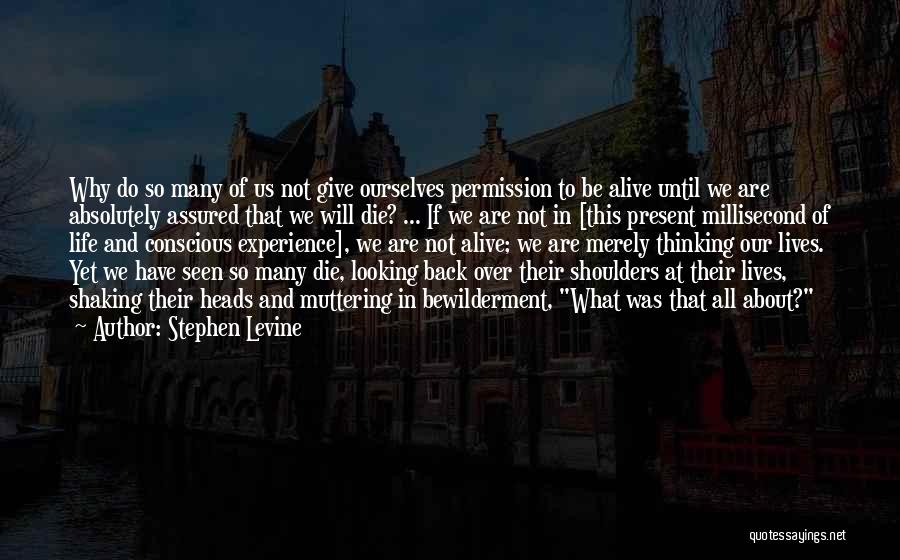 Stephen Levine Quotes: Why Do So Many Of Us Not Give Ourselves Permission To Be Alive Until We Are Absolutely Assured That We