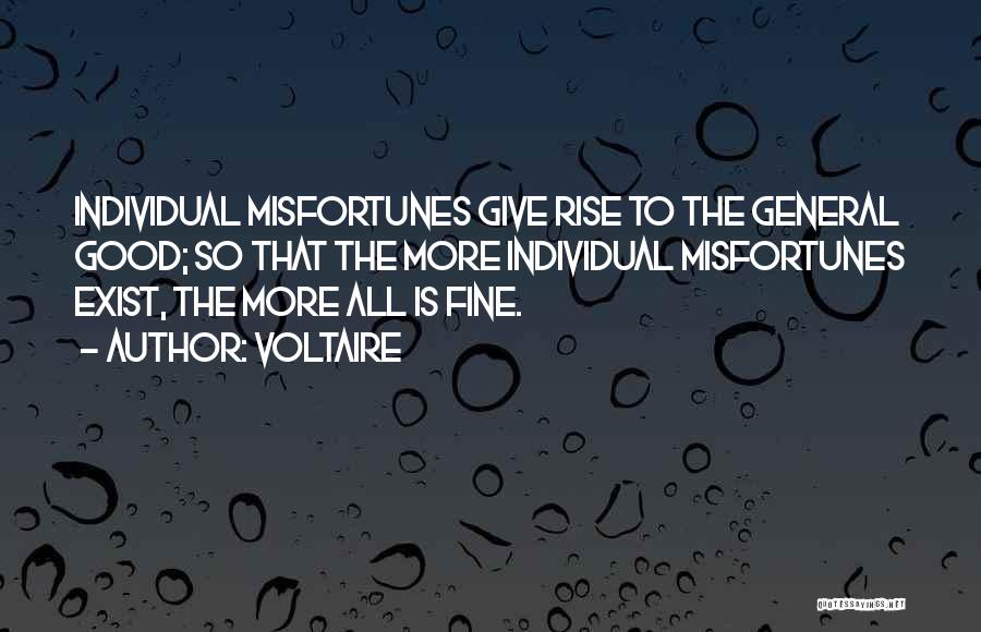 Voltaire Quotes: Individual Misfortunes Give Rise To The General Good; So That The More Individual Misfortunes Exist, The More All Is Fine.