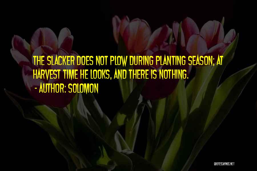 Solomon Quotes: The Slacker Does Not Plow During Planting Season; At Harvest Time He Looks, And There Is Nothing.