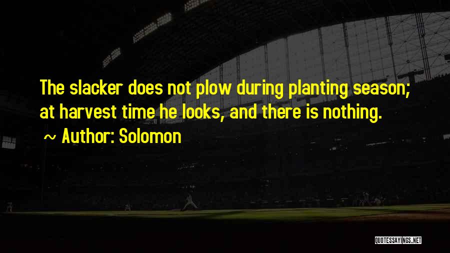 Solomon Quotes: The Slacker Does Not Plow During Planting Season; At Harvest Time He Looks, And There Is Nothing.