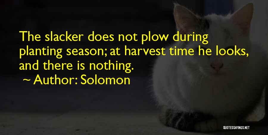 Solomon Quotes: The Slacker Does Not Plow During Planting Season; At Harvest Time He Looks, And There Is Nothing.