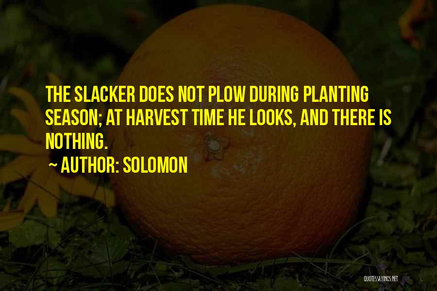 Solomon Quotes: The Slacker Does Not Plow During Planting Season; At Harvest Time He Looks, And There Is Nothing.