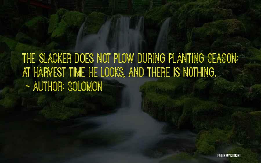 Solomon Quotes: The Slacker Does Not Plow During Planting Season; At Harvest Time He Looks, And There Is Nothing.