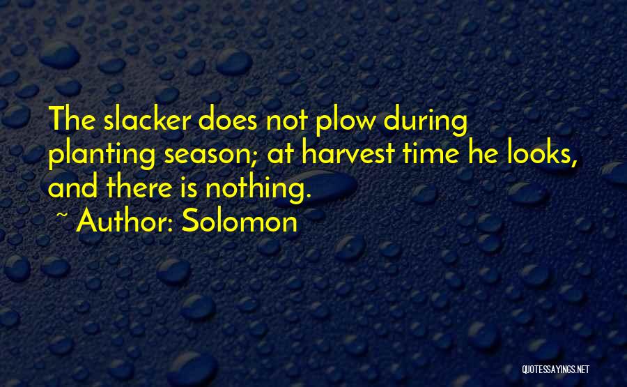 Solomon Quotes: The Slacker Does Not Plow During Planting Season; At Harvest Time He Looks, And There Is Nothing.