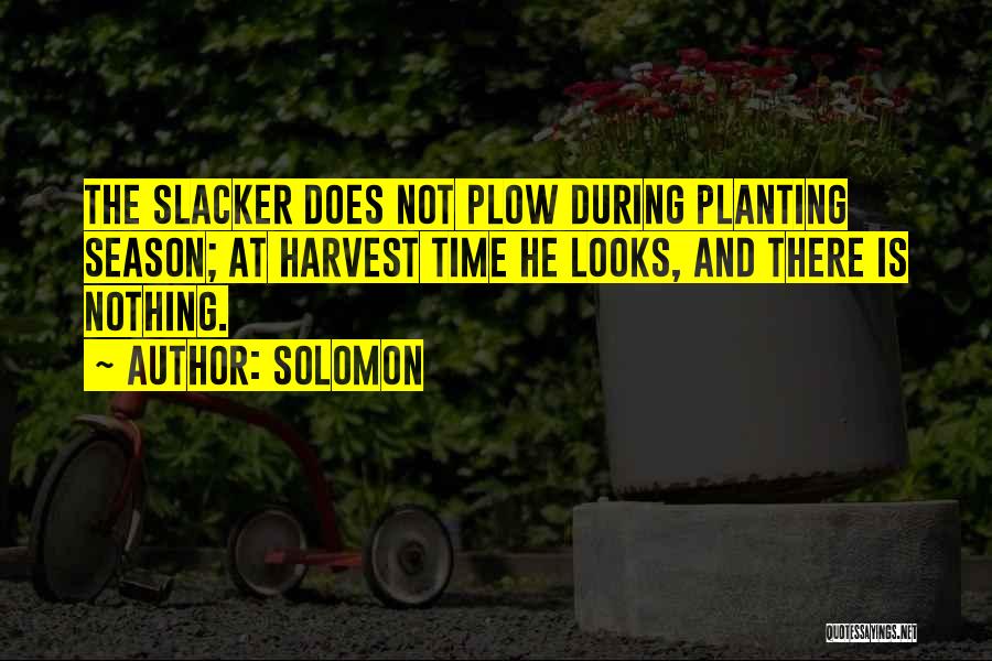Solomon Quotes: The Slacker Does Not Plow During Planting Season; At Harvest Time He Looks, And There Is Nothing.
