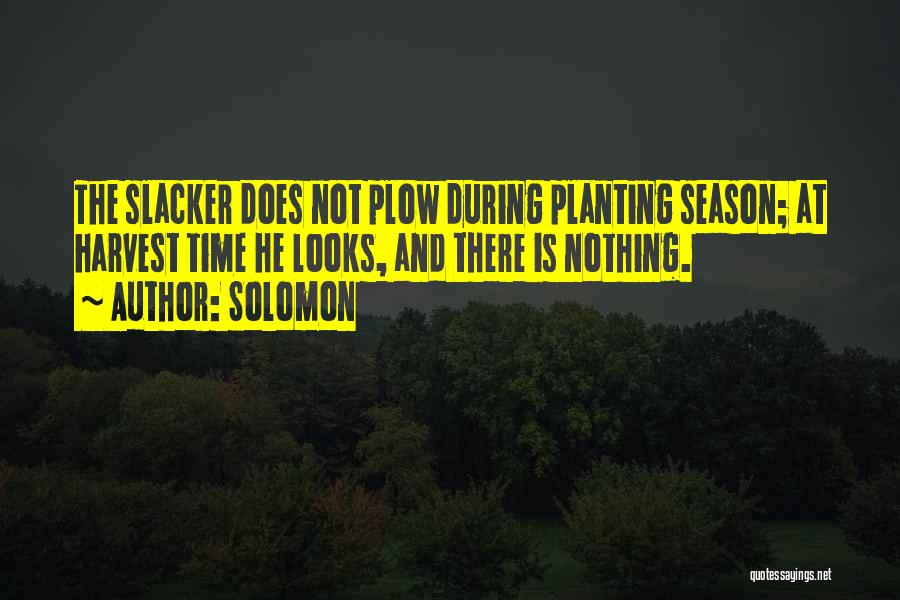 Solomon Quotes: The Slacker Does Not Plow During Planting Season; At Harvest Time He Looks, And There Is Nothing.