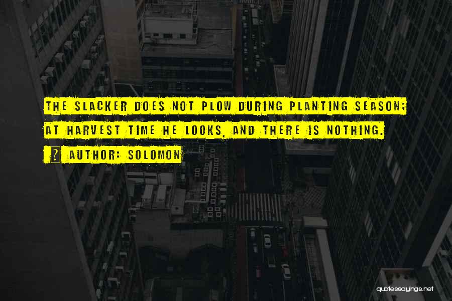 Solomon Quotes: The Slacker Does Not Plow During Planting Season; At Harvest Time He Looks, And There Is Nothing.