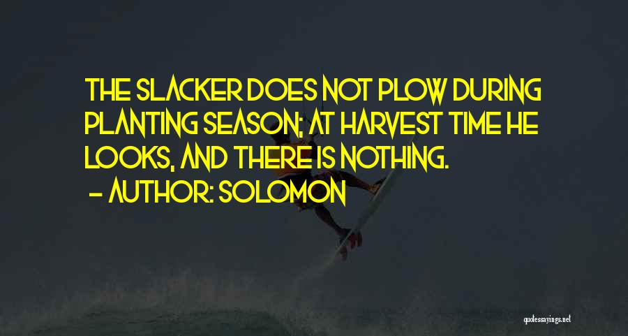 Solomon Quotes: The Slacker Does Not Plow During Planting Season; At Harvest Time He Looks, And There Is Nothing.