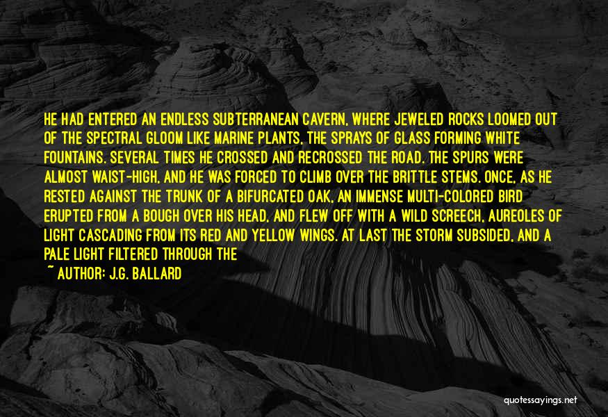 J.G. Ballard Quotes: He Had Entered An Endless Subterranean Cavern, Where Jeweled Rocks Loomed Out Of The Spectral Gloom Like Marine Plants, The