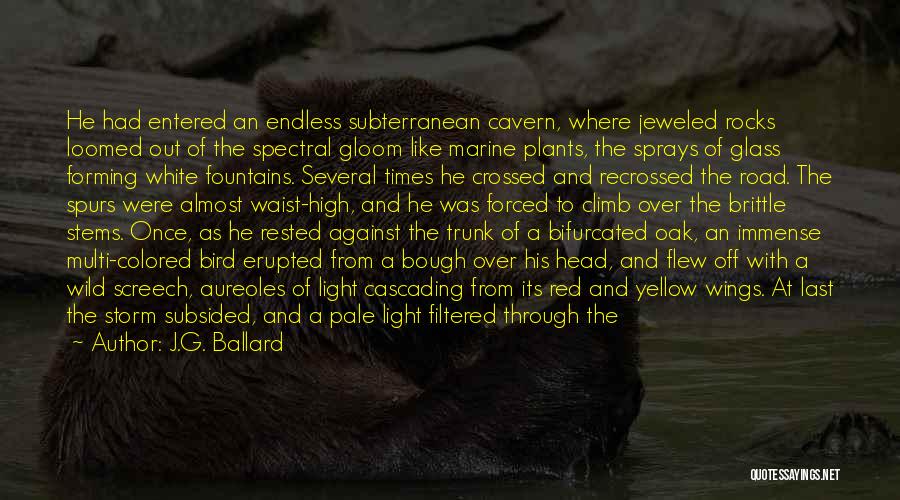 J.G. Ballard Quotes: He Had Entered An Endless Subterranean Cavern, Where Jeweled Rocks Loomed Out Of The Spectral Gloom Like Marine Plants, The