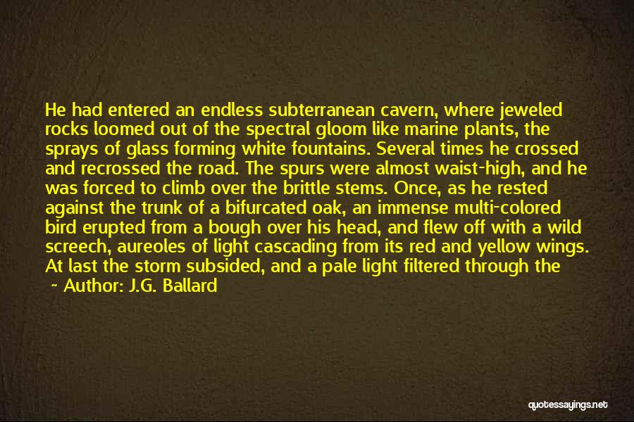 J.G. Ballard Quotes: He Had Entered An Endless Subterranean Cavern, Where Jeweled Rocks Loomed Out Of The Spectral Gloom Like Marine Plants, The