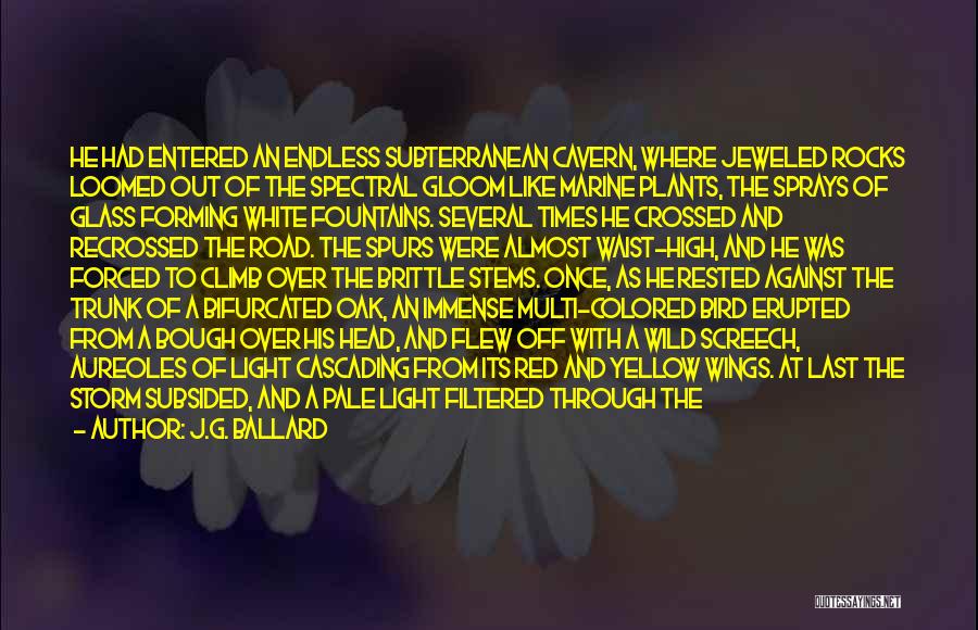 J.G. Ballard Quotes: He Had Entered An Endless Subterranean Cavern, Where Jeweled Rocks Loomed Out Of The Spectral Gloom Like Marine Plants, The