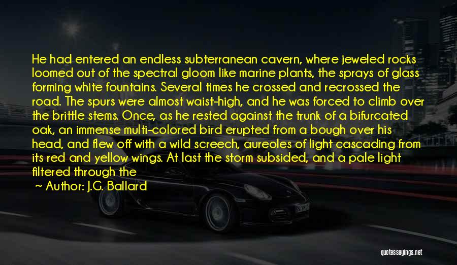 J.G. Ballard Quotes: He Had Entered An Endless Subterranean Cavern, Where Jeweled Rocks Loomed Out Of The Spectral Gloom Like Marine Plants, The