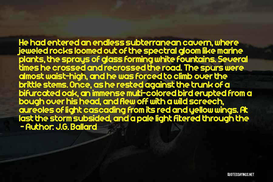 J.G. Ballard Quotes: He Had Entered An Endless Subterranean Cavern, Where Jeweled Rocks Loomed Out Of The Spectral Gloom Like Marine Plants, The