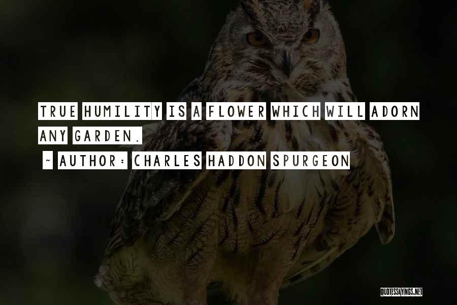 Charles Haddon Spurgeon Quotes: True Humility Is A Flower Which Will Adorn Any Garden.
