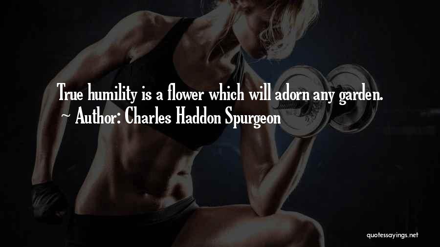 Charles Haddon Spurgeon Quotes: True Humility Is A Flower Which Will Adorn Any Garden.