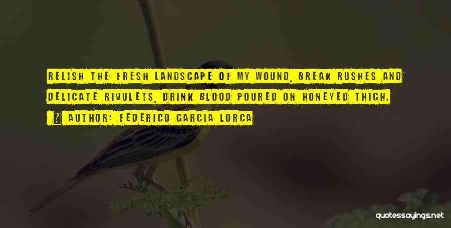 Federico Garcia Lorca Quotes: Relish The Fresh Landscape Of My Wound, Break Rushes And Delicate Rivulets, Drink Blood Poured On Honeyed Thigh.