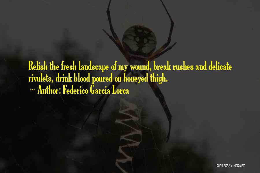 Federico Garcia Lorca Quotes: Relish The Fresh Landscape Of My Wound, Break Rushes And Delicate Rivulets, Drink Blood Poured On Honeyed Thigh.