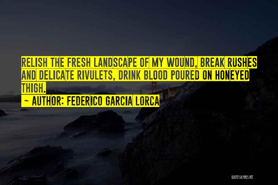 Federico Garcia Lorca Quotes: Relish The Fresh Landscape Of My Wound, Break Rushes And Delicate Rivulets, Drink Blood Poured On Honeyed Thigh.