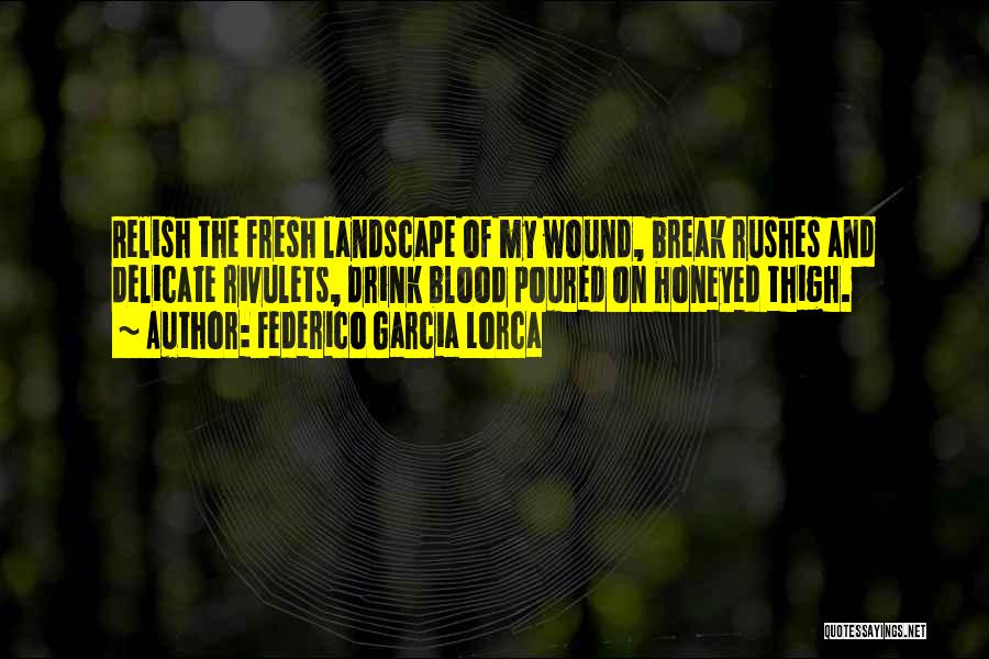 Federico Garcia Lorca Quotes: Relish The Fresh Landscape Of My Wound, Break Rushes And Delicate Rivulets, Drink Blood Poured On Honeyed Thigh.