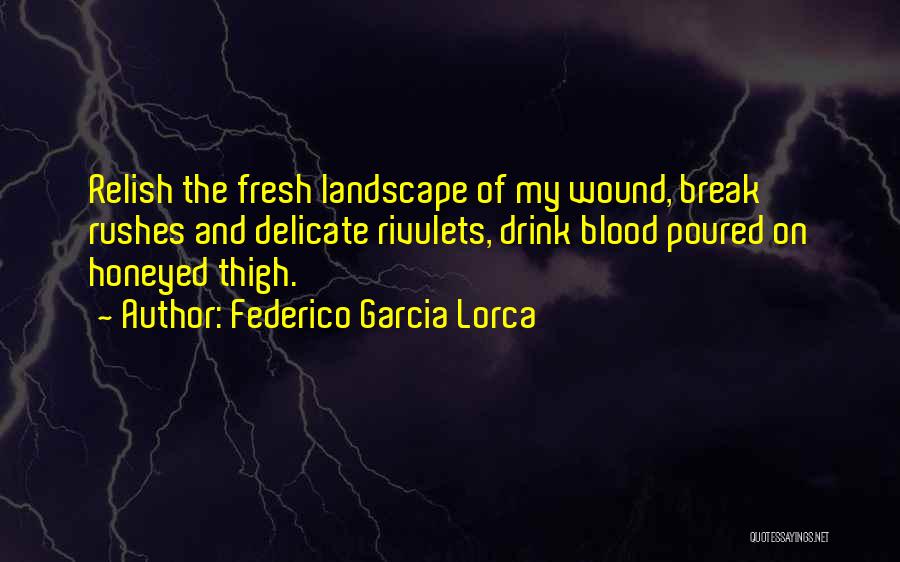 Federico Garcia Lorca Quotes: Relish The Fresh Landscape Of My Wound, Break Rushes And Delicate Rivulets, Drink Blood Poured On Honeyed Thigh.
