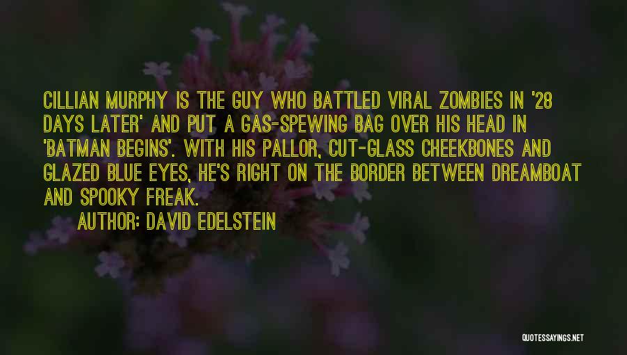 28 Days Later Quotes By David Edelstein