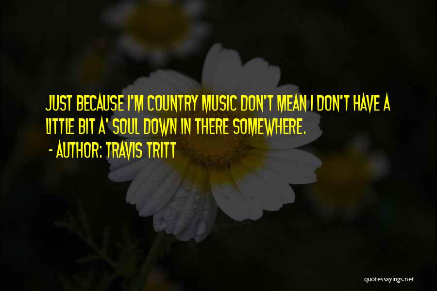 Travis Tritt Quotes: Just Because I'm Country Music Don't Mean I Don't Have A Little Bit A' Soul Down In There Somewhere.