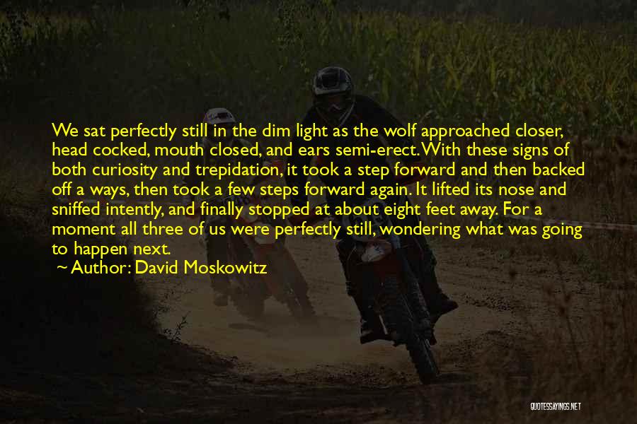 David Moskowitz Quotes: We Sat Perfectly Still In The Dim Light As The Wolf Approached Closer, Head Cocked, Mouth Closed, And Ears Semi-erect.