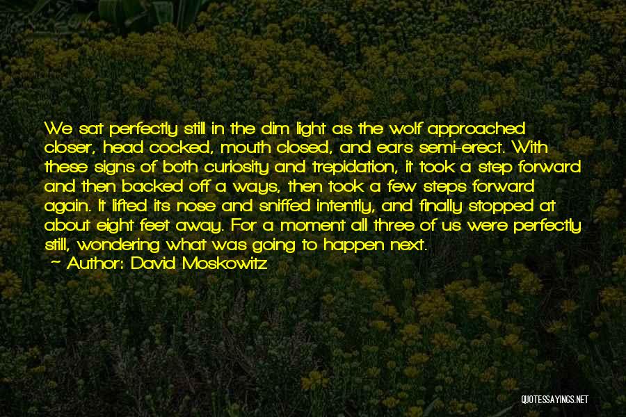 David Moskowitz Quotes: We Sat Perfectly Still In The Dim Light As The Wolf Approached Closer, Head Cocked, Mouth Closed, And Ears Semi-erect.