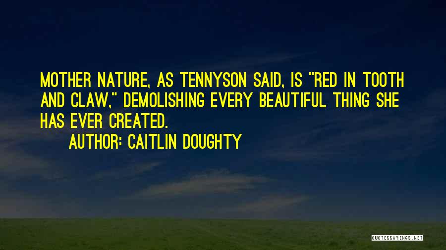 Caitlin Doughty Quotes: Mother Nature, As Tennyson Said, Is Red In Tooth And Claw, Demolishing Every Beautiful Thing She Has Ever Created.