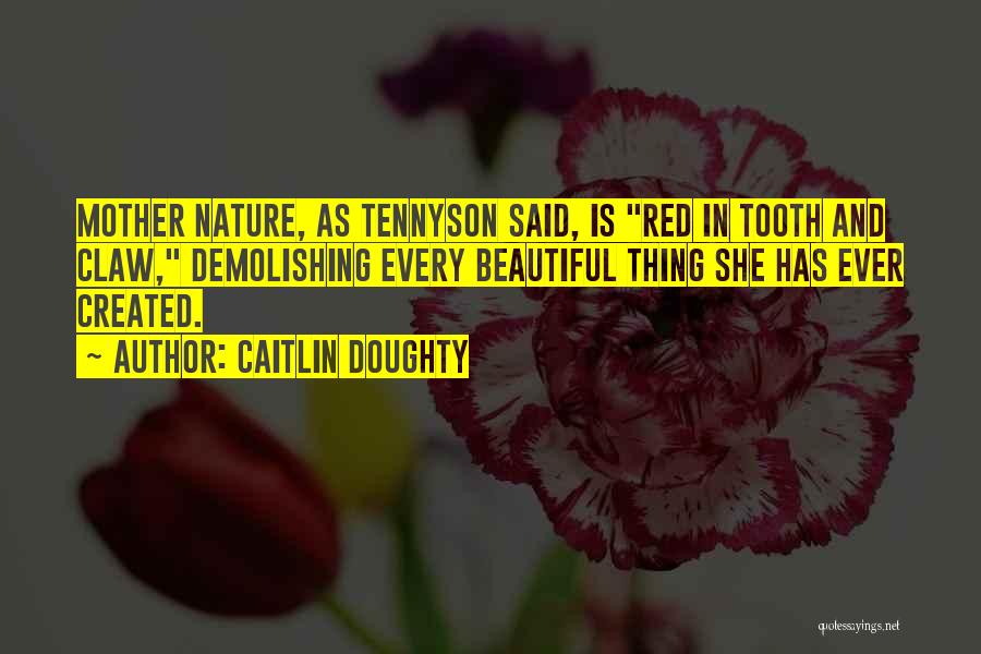 Caitlin Doughty Quotes: Mother Nature, As Tennyson Said, Is Red In Tooth And Claw, Demolishing Every Beautiful Thing She Has Ever Created.