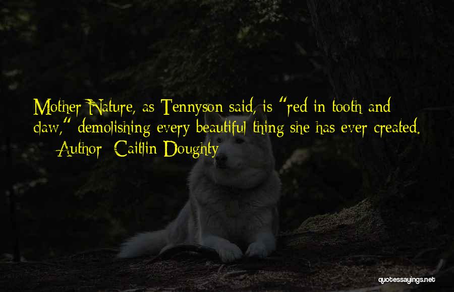 Caitlin Doughty Quotes: Mother Nature, As Tennyson Said, Is Red In Tooth And Claw, Demolishing Every Beautiful Thing She Has Ever Created.